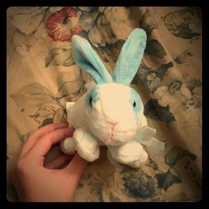 Blue Bunny!